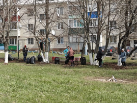 Экологический субботник Экологический субботник.